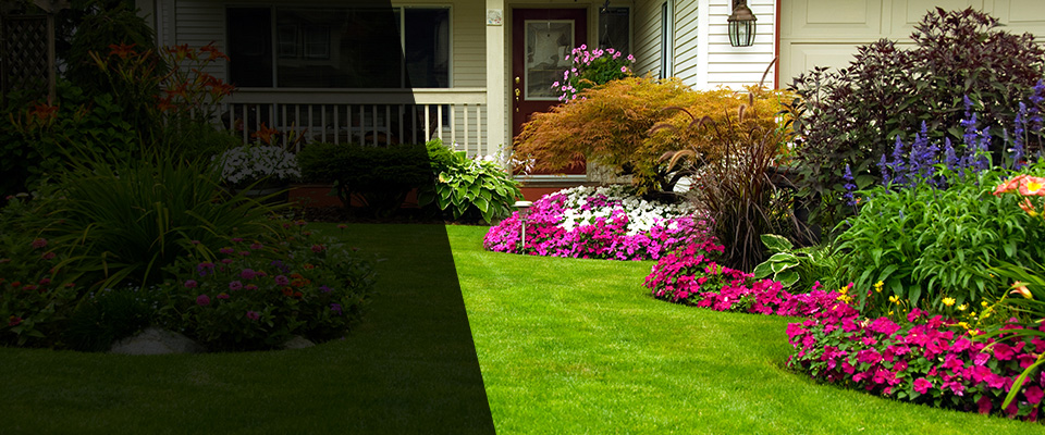 Whitehall Landscapers